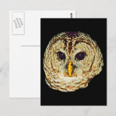 Carte Postale Image de hibou (Devant / Derrière)