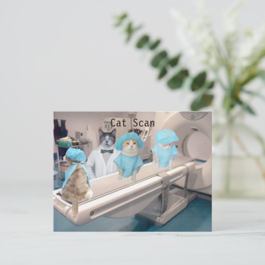 Carte Postale Image de numérisation de chat amusante (Debout devant)