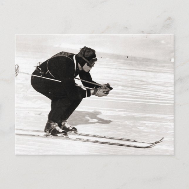 Carte Postale Image de ski vintage, Course pour la finale (Devant)