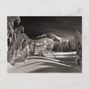 Carte Postale Image de ski vintage, Ski trail à travers les arbr