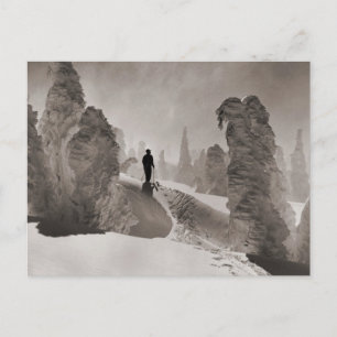 Carte Postale Image de ski vintage, une avenue des arbres