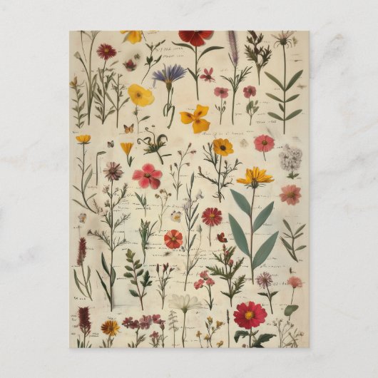 Carte Postale Image de style victorien Herbarium (Devant)