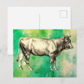 Carte Postale Image de vache de ferme ancienne taureau (Devant / Derrière)