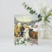Carte Postale Image de vache vintage (Debout devant)