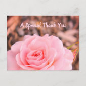 Carte Postale Image du Rose floral (Devant)