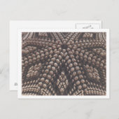 Carte postale image fractale 3D (Devant / Derrière)