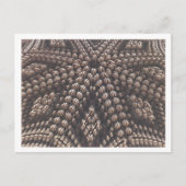 Carte postale image fractale 3D (Devant)