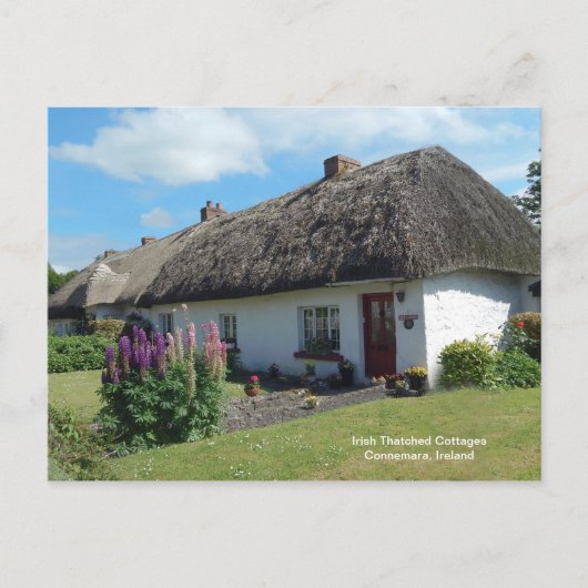 Carte Postale Image irlandaise de Postcard (Devant)
