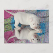 Carte Postale Image miroir (Devant)