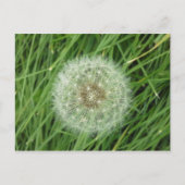 Carte postale - image nature (Devant)