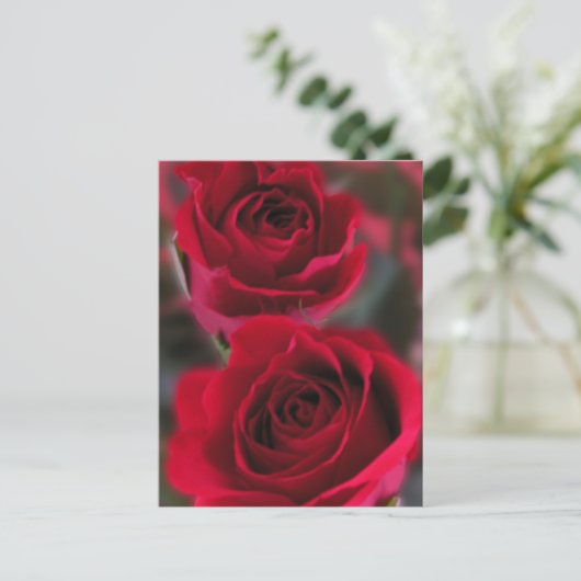 Carte Postale Image Red Roses (Debout devant)