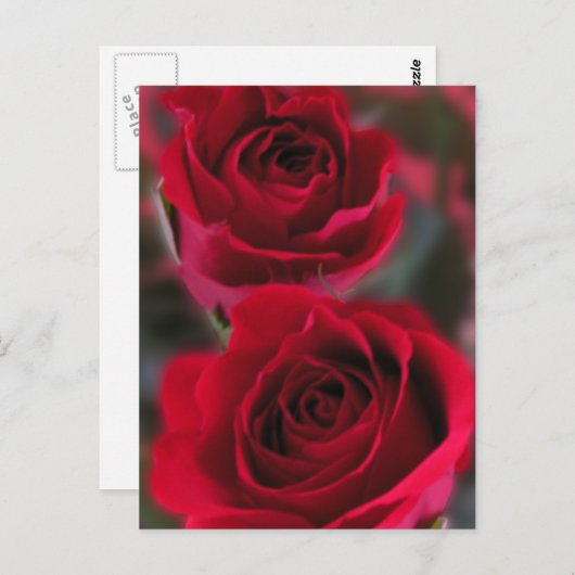 Carte Postale Image Red Roses (Devant / Derrière)