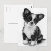 Carte Postale Image tirée à la main Chihuahua Chiuppy (Devant / Derrière)