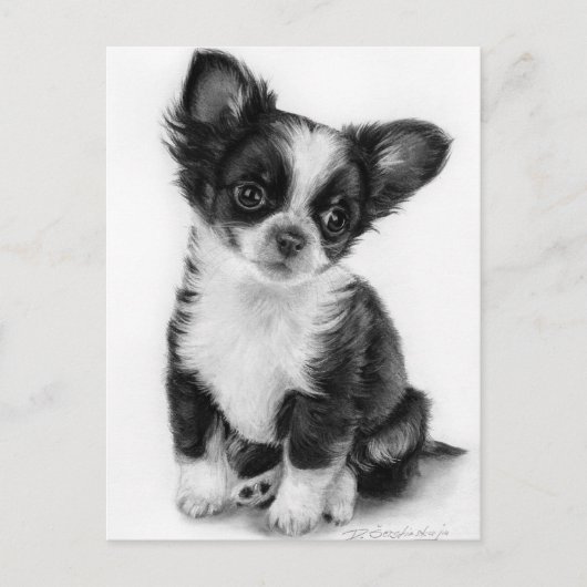 Carte Postale Image tirée à la main Chihuahua Chiuppy (Devant)