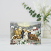 Carte Postale Image vintage de vache (Debout devant)