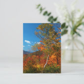 Carte Postale Images d'automne (Debout devant)