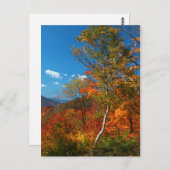 Carte Postale Images d'automne (Devant / Derrière)