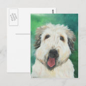 Carte Postale Images de chiens de Soft Wheaton Terrier (Devant / Derrière)