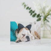Carte Postale Images Getty | Chien endormi avec bandeau de chat (Debout devant)