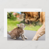Carte Postale Images Getty | Chien et chat en amour (Devant / Derrière)