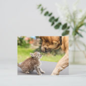 Carte Postale Images Getty | Chien et chat en amour (Debout devant)