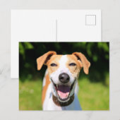 Carte Postale Images Getty | Chien riant (Devant / Derrière)