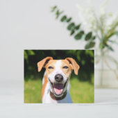 Carte Postale Images Getty | Chien riant (Debout devant)