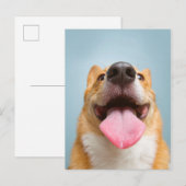 Carte Postale Images Getty | Corgi très heureux (Devant / Derrière)