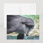 Carte Postale Images Getty | Dauphin (Devant / Derrière)