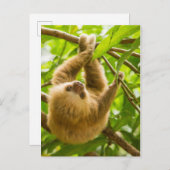 Carte Postale Images Getty | Derrière (Devant / Derrière)