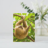 Carte Postale Images Getty | Derrière (Debout devant)