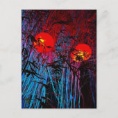 Carte postale Imaginaire (Devant)