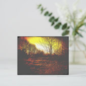 Carte Postale imaginaire (Debout devant)