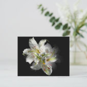 Carte Postale Imaginaire blanc Lilies (Debout devant)