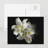 Carte Postale Imaginaire blanc Lilies (Devant / Derrière)