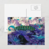 Carte postale Imaginaire Caterpillar (Devant / Derrière)