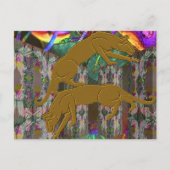 Carte postale Imaginaire cougar (Devant)