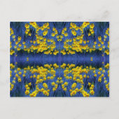 Carte Postale Imaginaire Daffodil Spring (Devant)