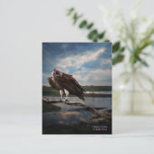 Carte Postale Imaginaire vautour (Debout devant)