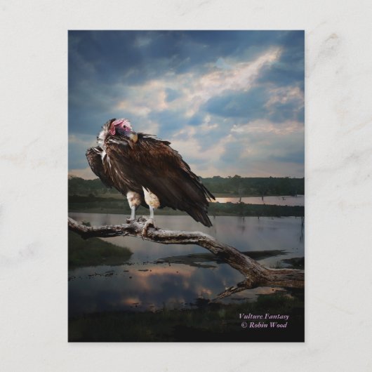 Carte Postale Imaginaire vautour (Devant)