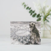 Carte Postale "Imagine" ou "Golden in Strawberry Fields" (Debout devant)