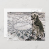 Carte Postale "Imagine" ou "Golden in Strawberry Fields" (Devant / Derrière)