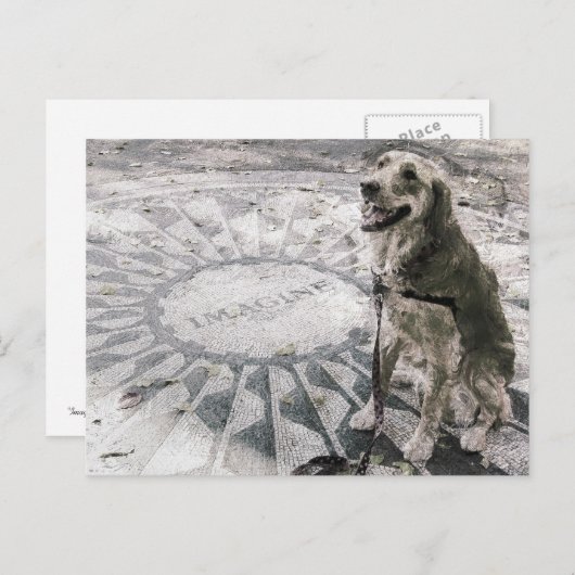 Carte Postale "Imagine" ou "Golden in Strawberry Fields" (Devant / Derrière)