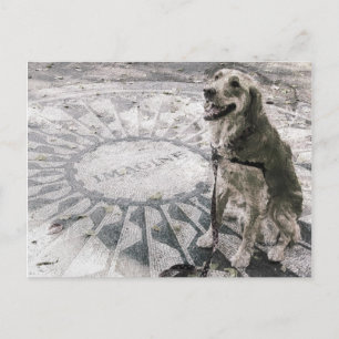 Carte Postale "Imagine" ou "Golden in Strawberry Fields"