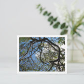 CARTE POSTALE IMG_0078 (Debout devant)