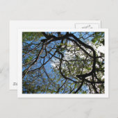 CARTE POSTALE IMG_0078 (Devant / Derrière)