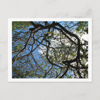 CARTE POSTALE IMG_0078