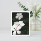 CARTE POSTALE IMG_0236 (Debout devant)