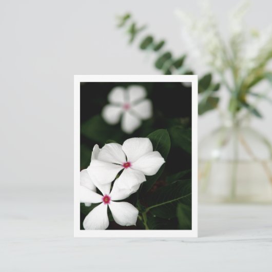 CARTE POSTALE IMG_0236 (Debout devant)