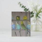 CARTE POSTALE IMG_0348 (Debout devant)